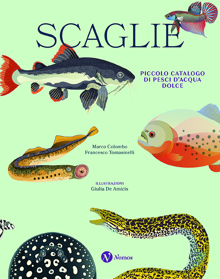 Scaglie - piccolo catalogo di pesci d'acqua dolce
