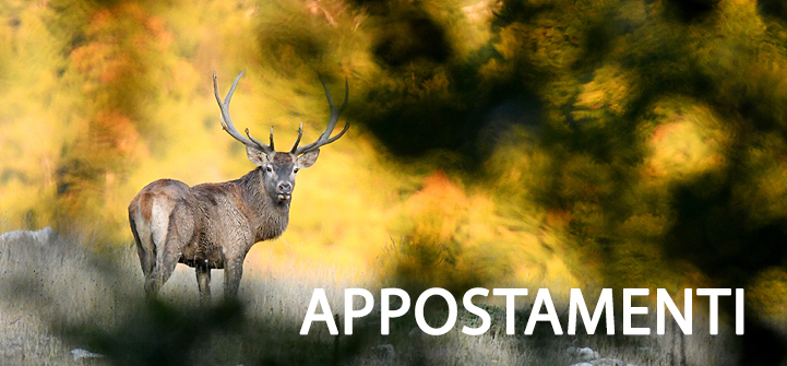 workshop fotografia naturalistica