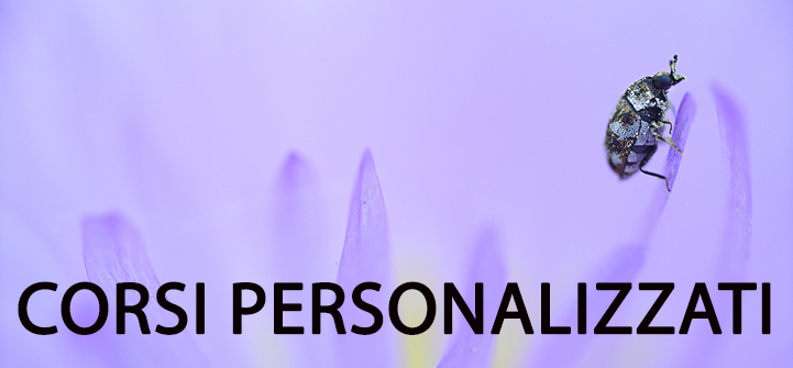 workshop personalizzati