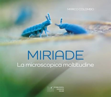 miriade fronte.jpg