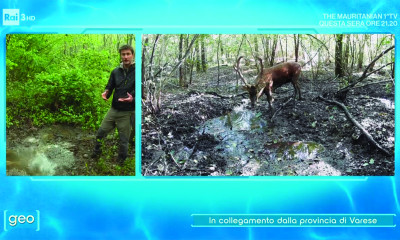 GEO Rai3 cervi