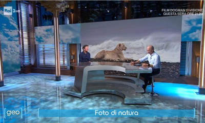 Wildlife Photographer of the Year