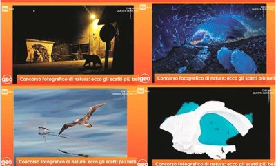 concorsi_2018-1.jpg