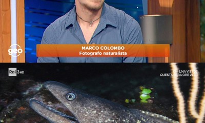 coppie20.jpg