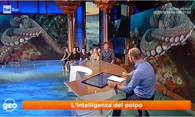 intelpolpo-1.jpg