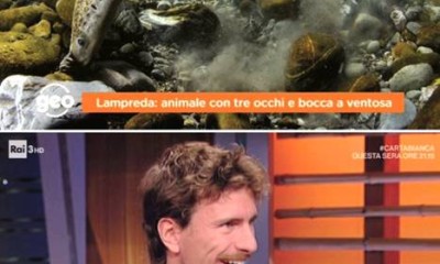 lampreda.jpg